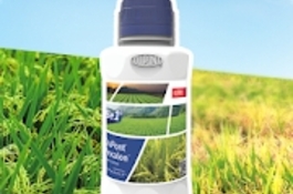 Be First Alert System